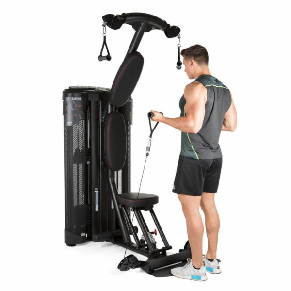 Inspire Dual Station Biceps Triceps 4